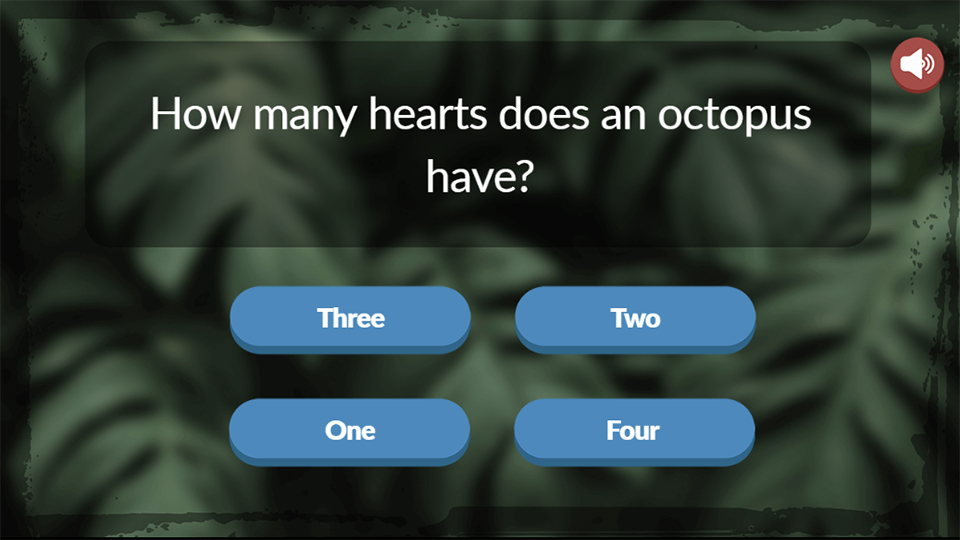 Animal Trivia